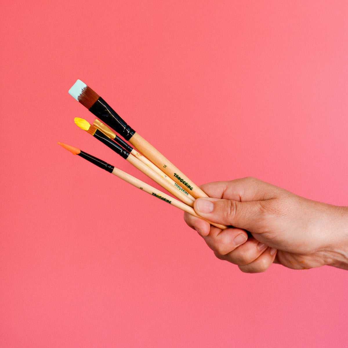 Paint Brush Set