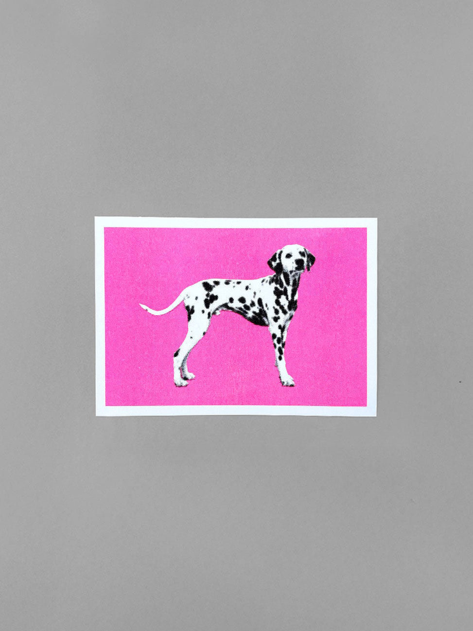 Pink Dalmations Print