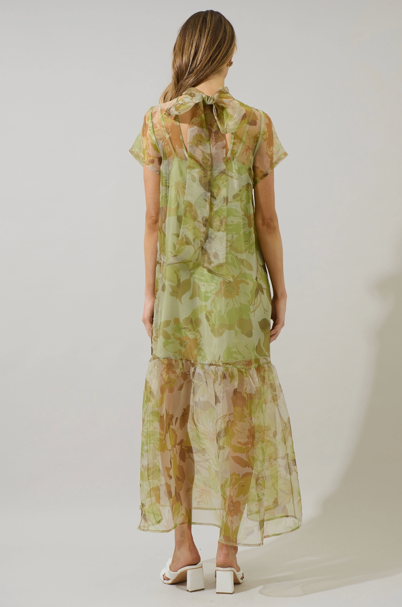 Ellery Organza Maxi Dress