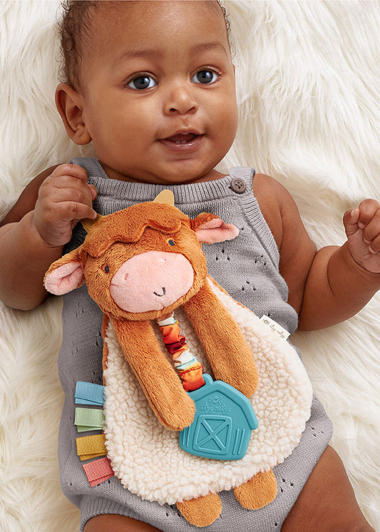 Wyatt the Highland Cow Plush Lovey Teether