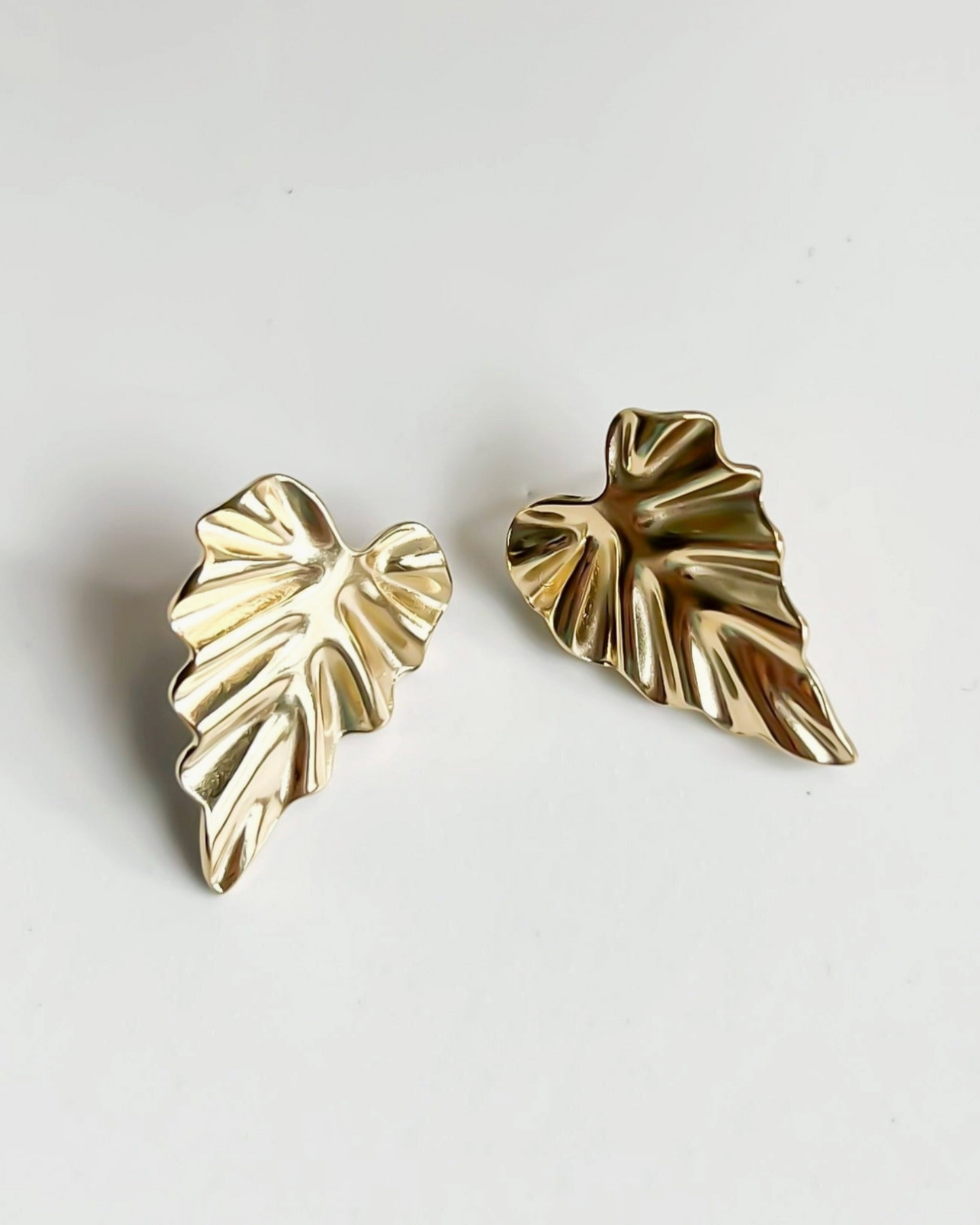 alocasia studs