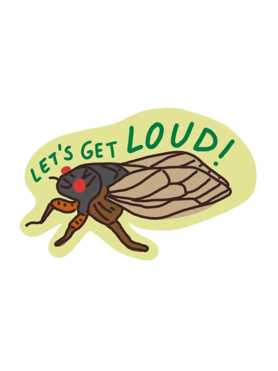 cicada sticker