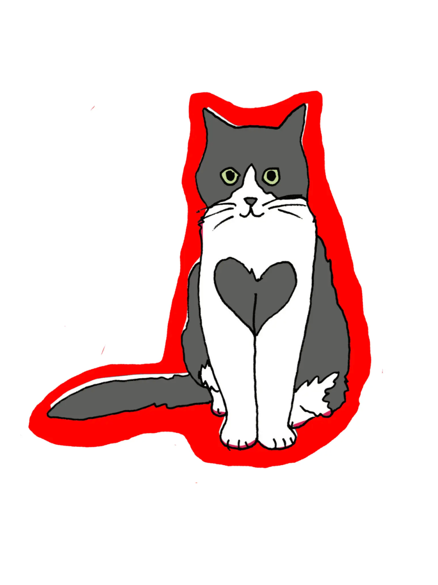 heart cat sticker