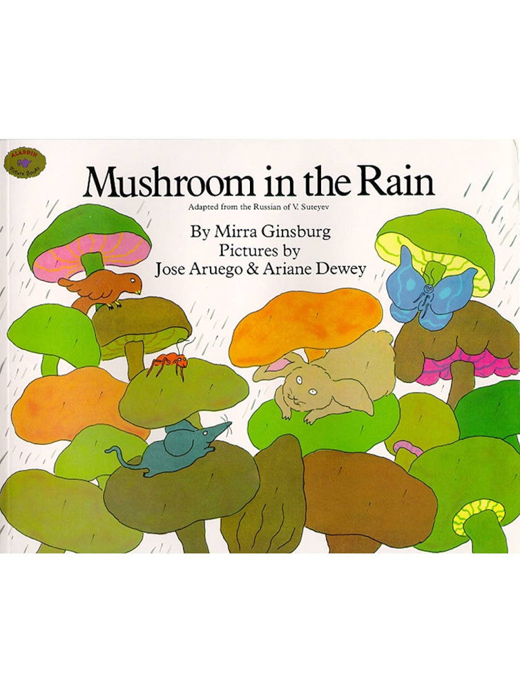 Mushroom in the Rain