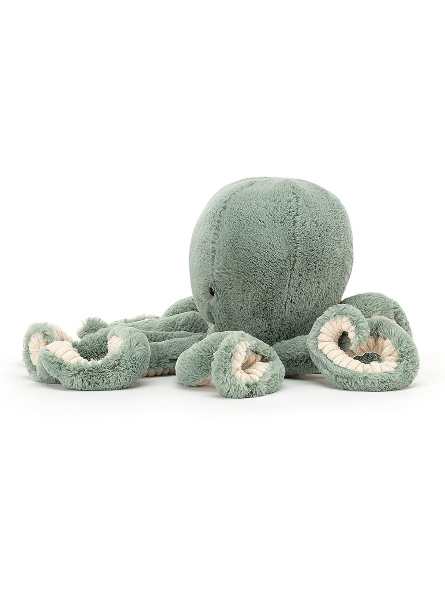odyssey octopus little