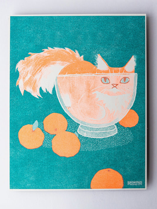 orange cat in a bowl