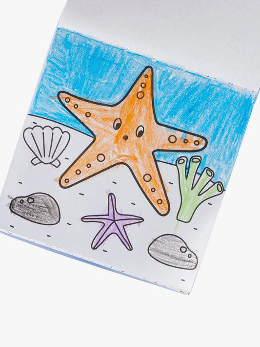 pet pals carry along coloring book