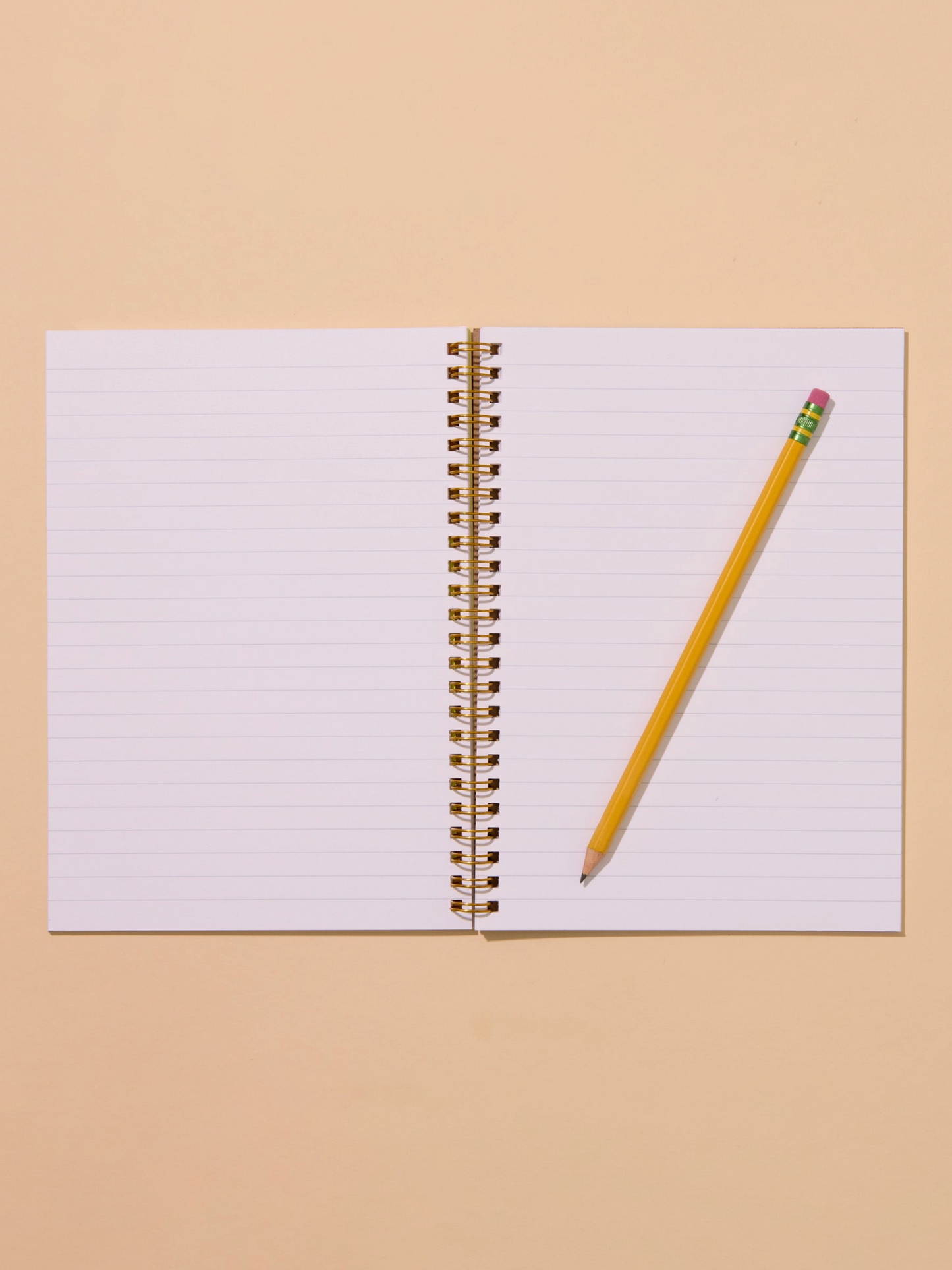 pickles letterpress spiral notebook