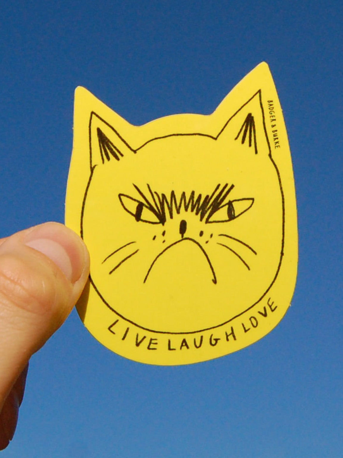 snitty kitty sticker