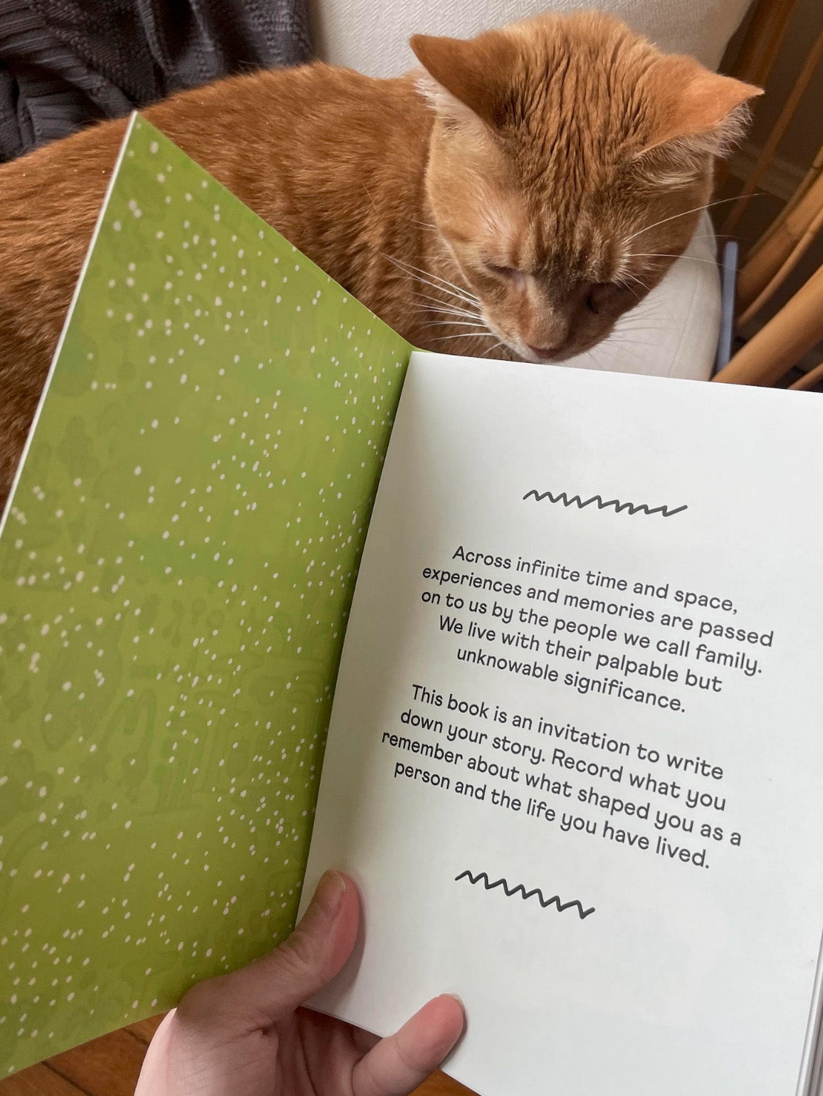 stories we tell guided journal