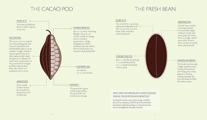 The Little Book of Chocolate Cakes and Pastries