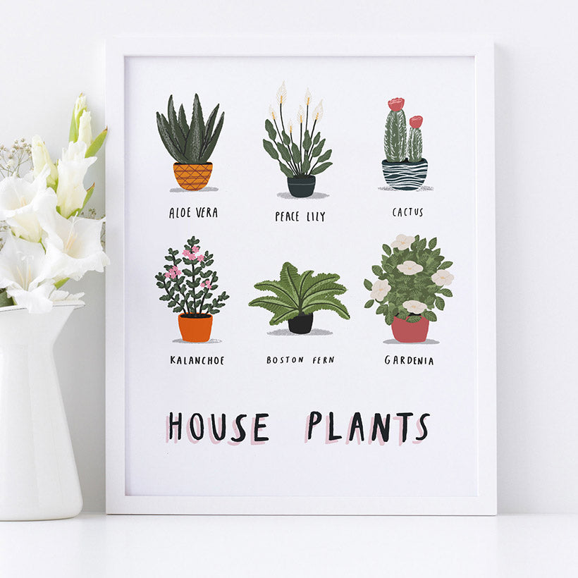 House Plants Print