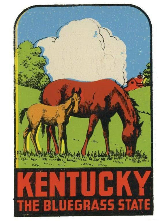 KY Bluegrass Postcard