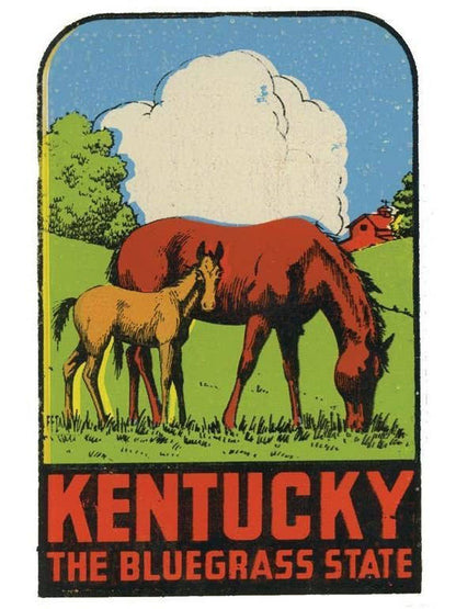 KY Bluegrass Postcard