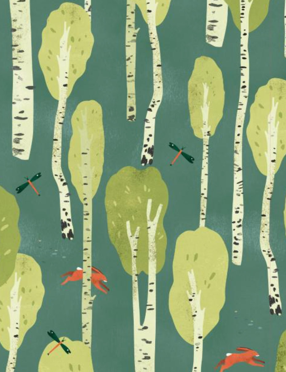 Paper Book For Nature Lovers