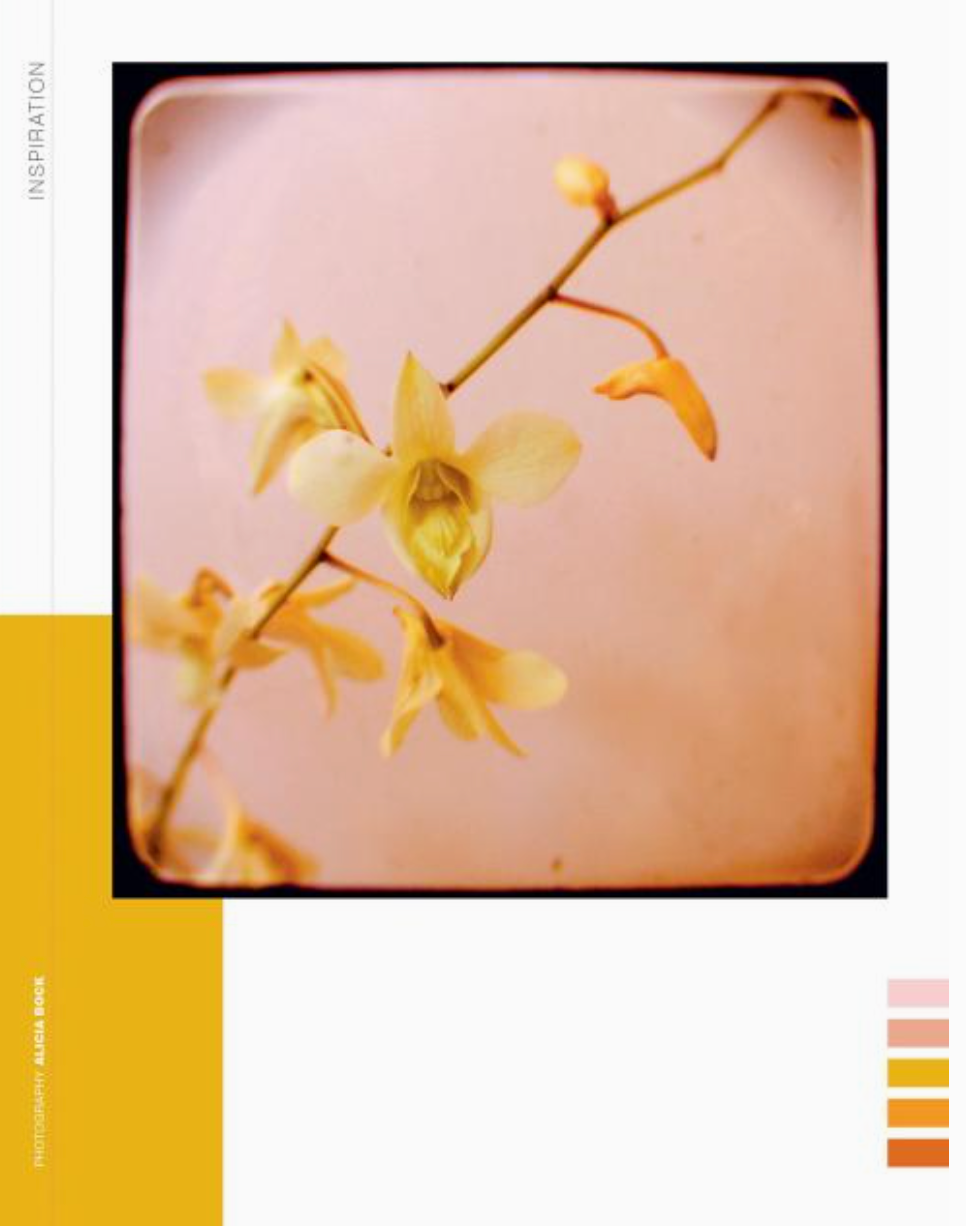 Paper Book For Nature Lovers