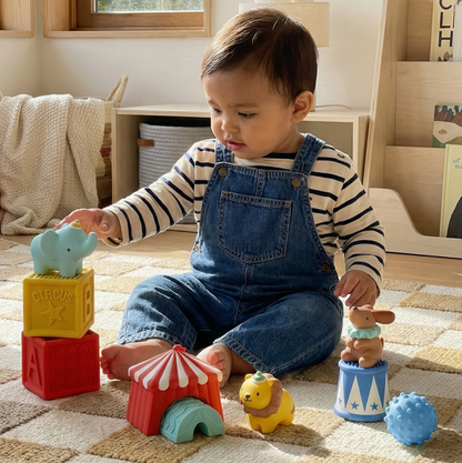 Circus Itzy Blocks
