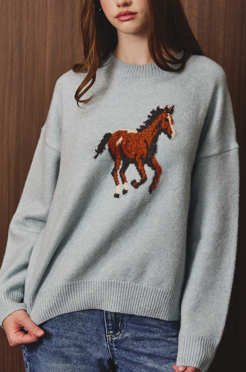 Giddy Up Horse Sweater