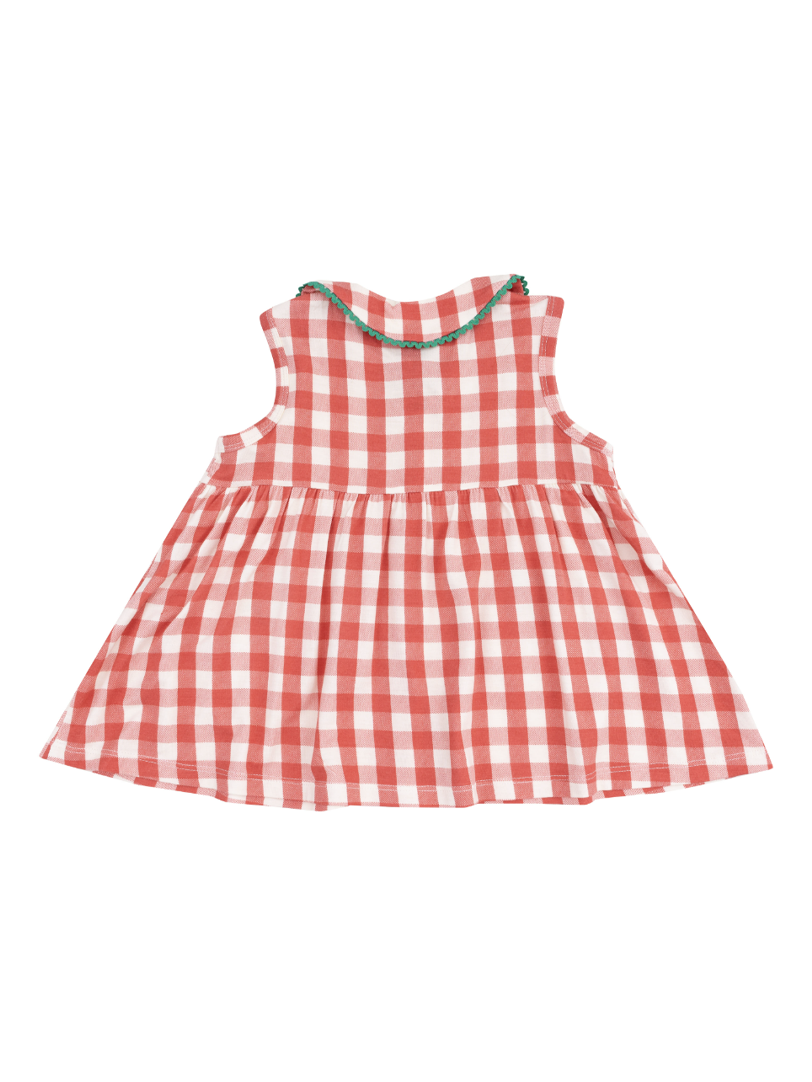 Strawberry Gingham Peter Pan Dress