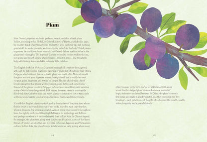 Tree Lore