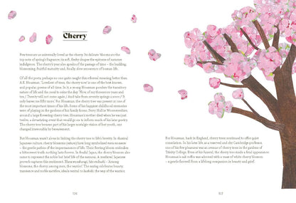 Tree Lore