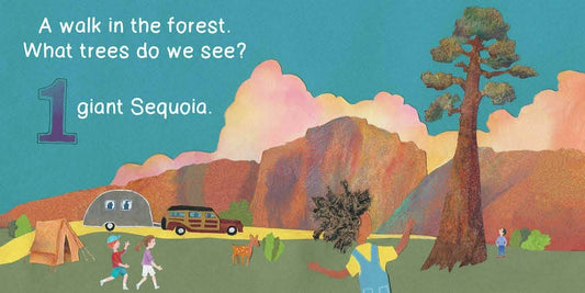 A Walk in the Forest