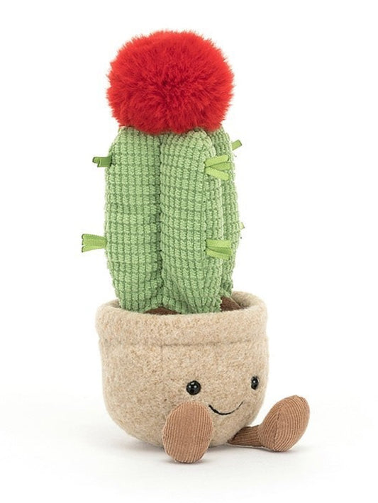 amuseable moon cactus
