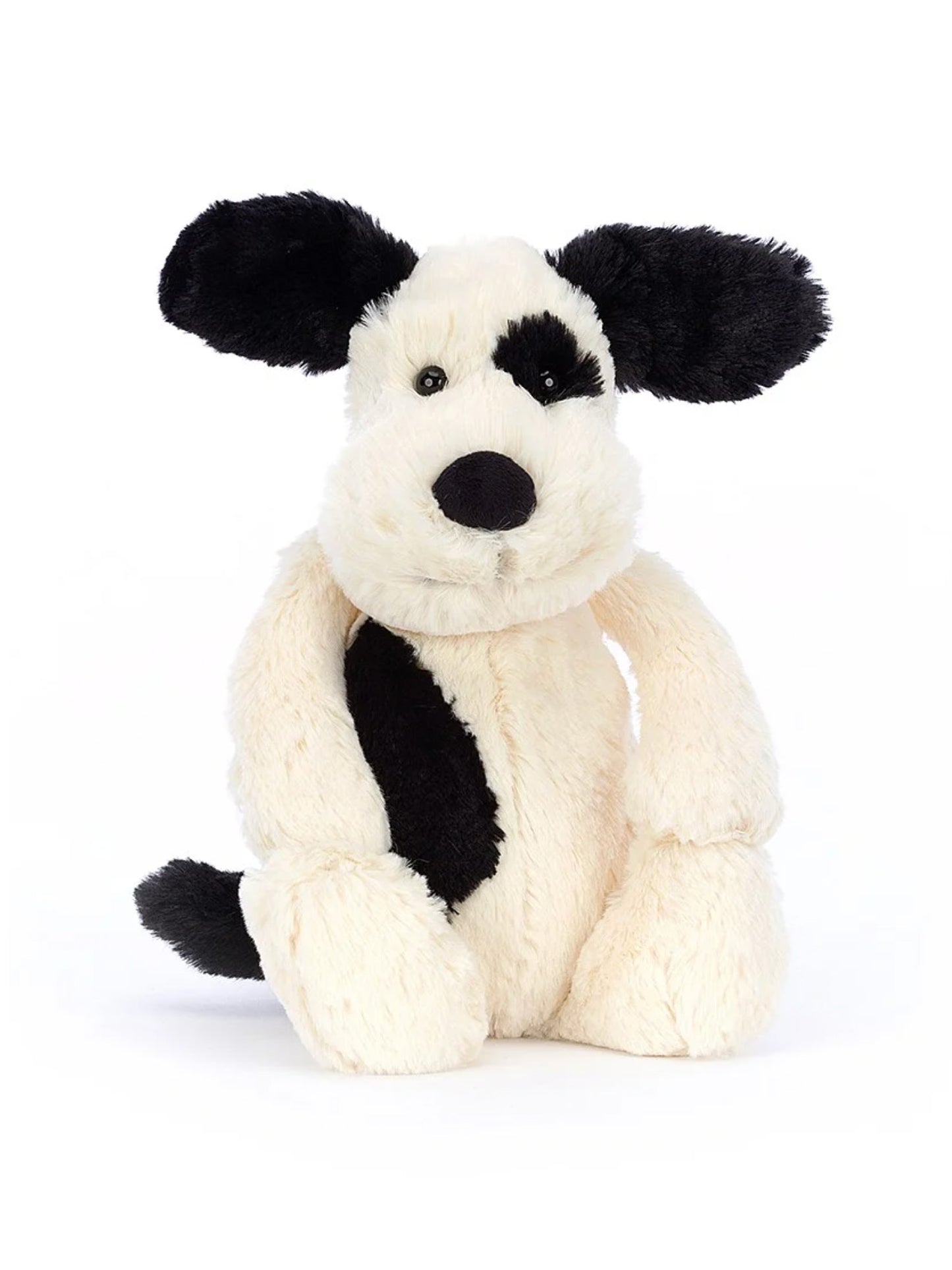 bashful black & cream puppy medium