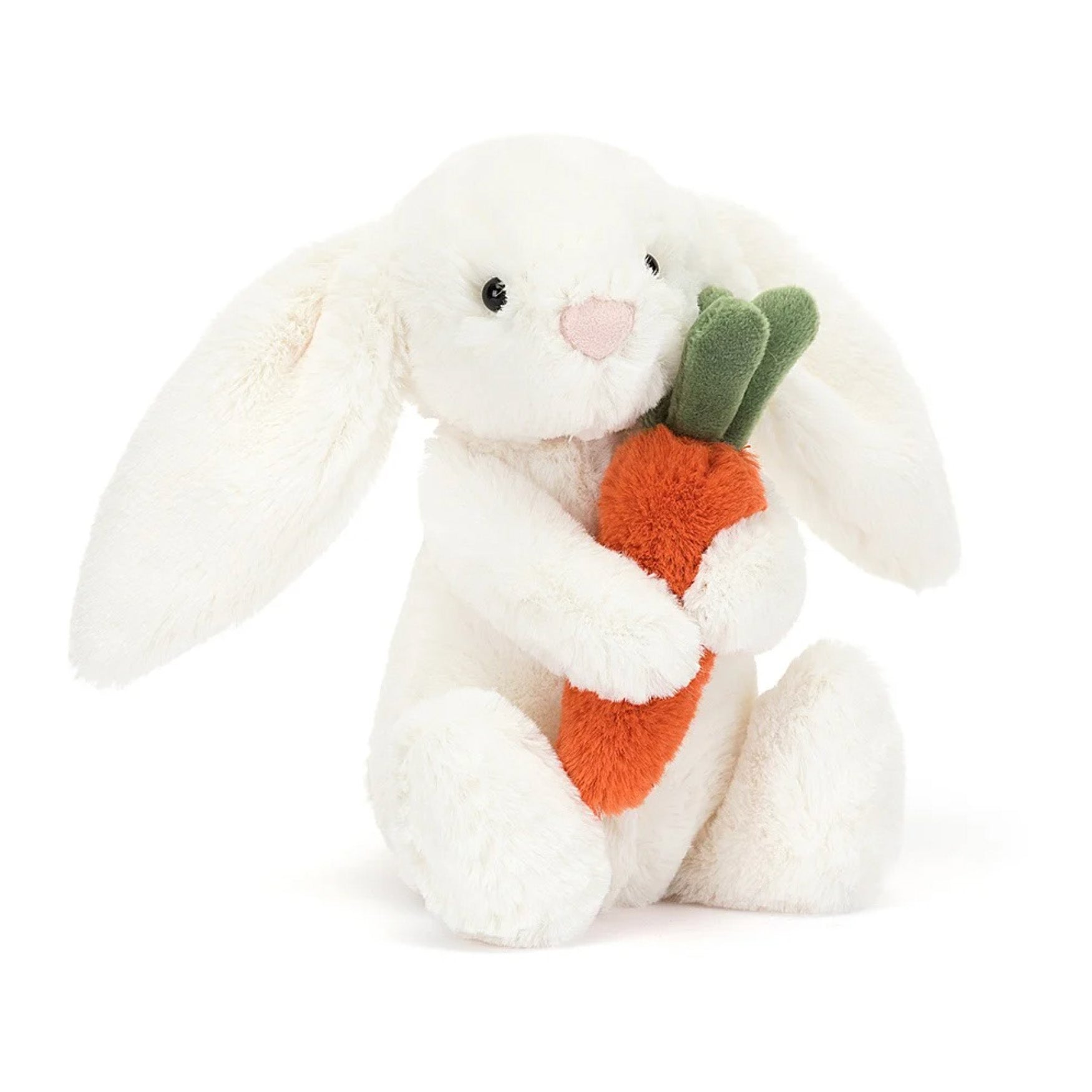bashful carrot bunny little