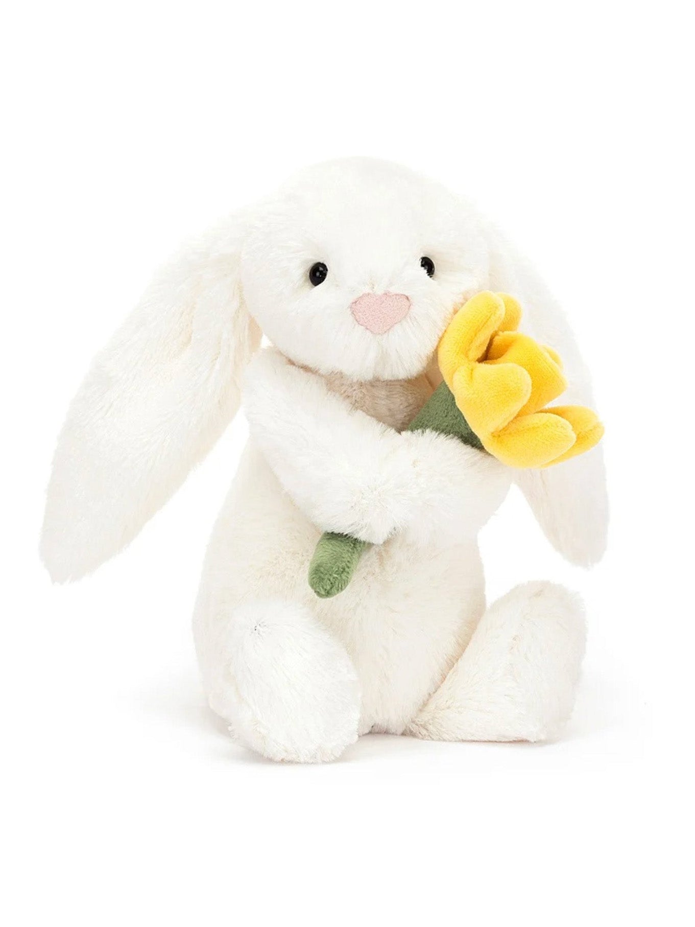 bashful daffodil bunny little