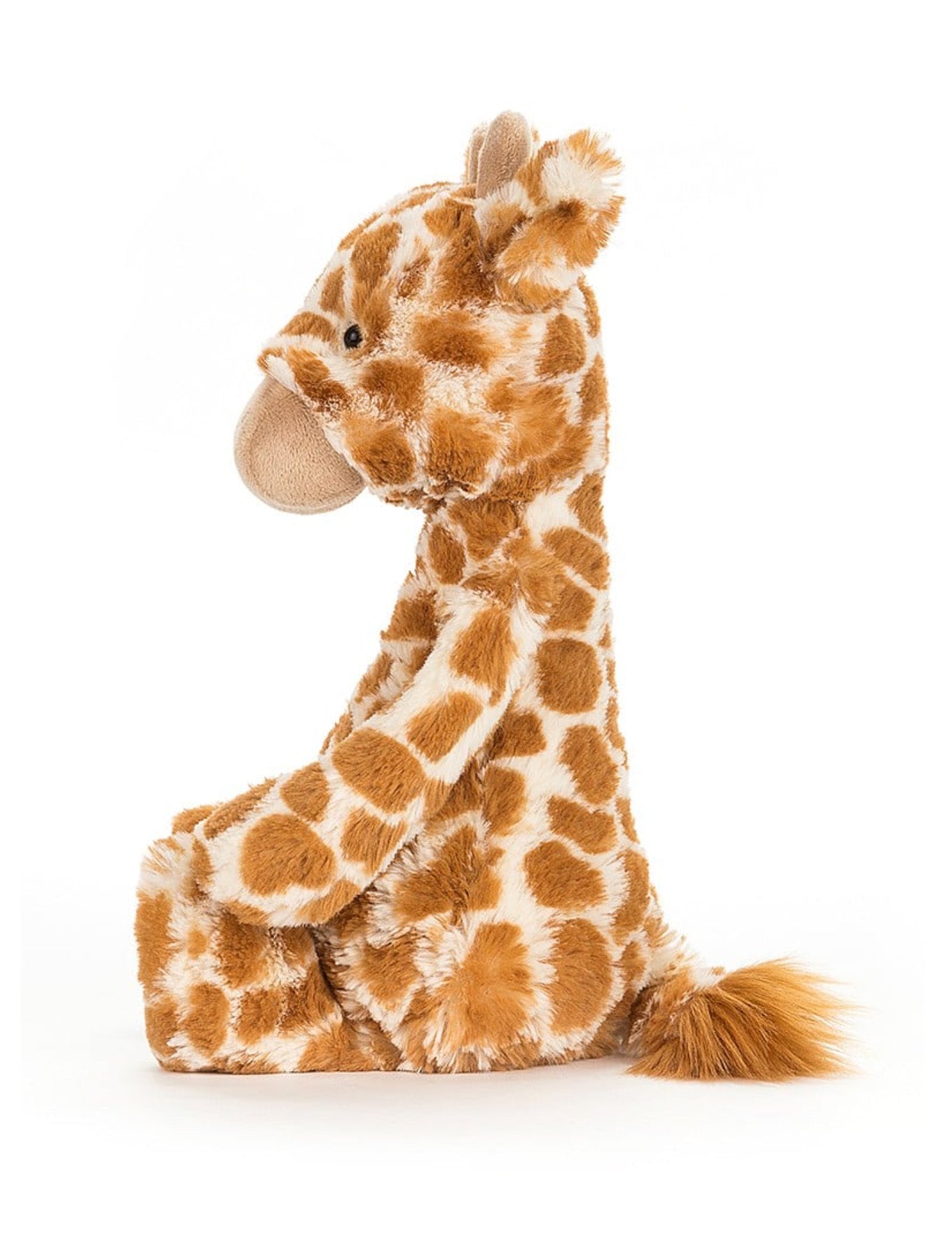 bashful giraffe original