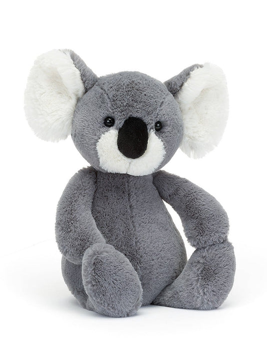 bashful koala medium