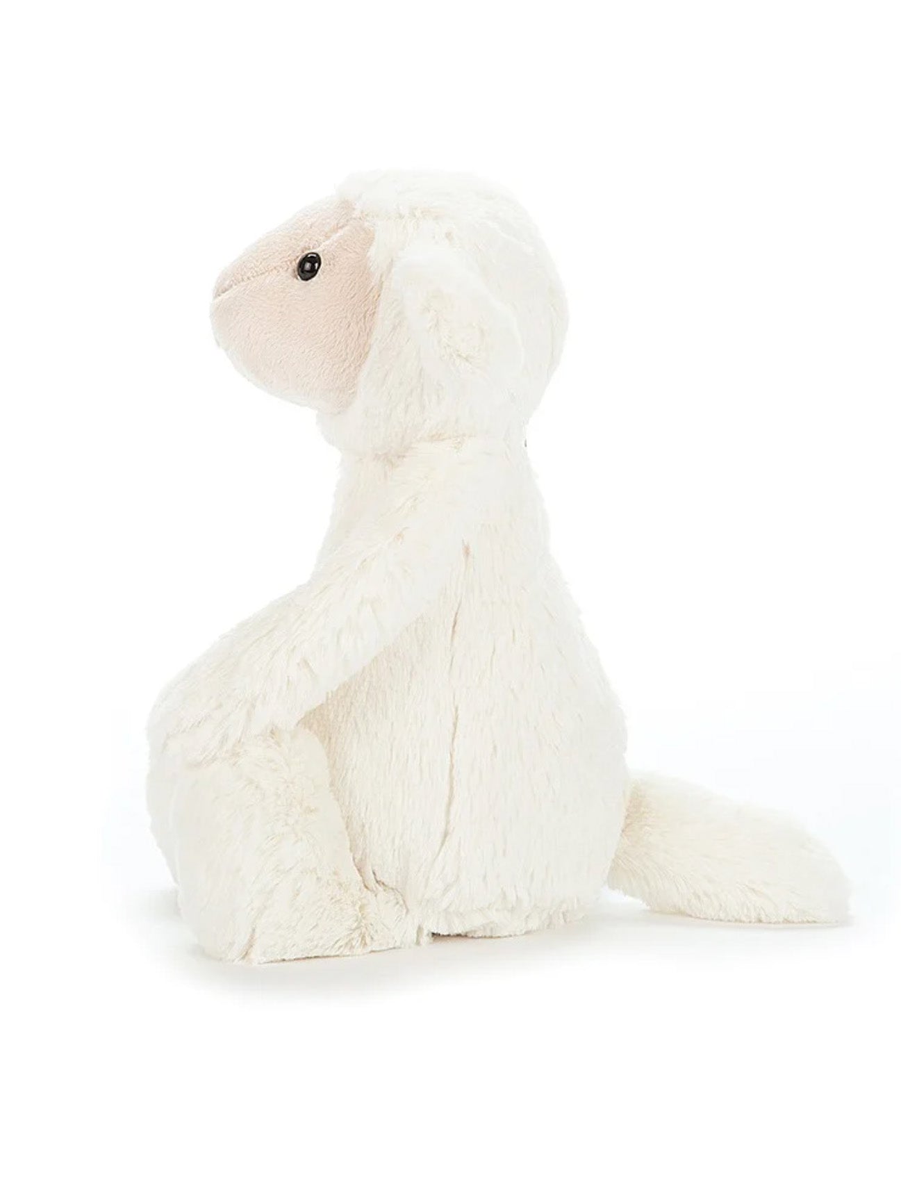 bashful lamb original