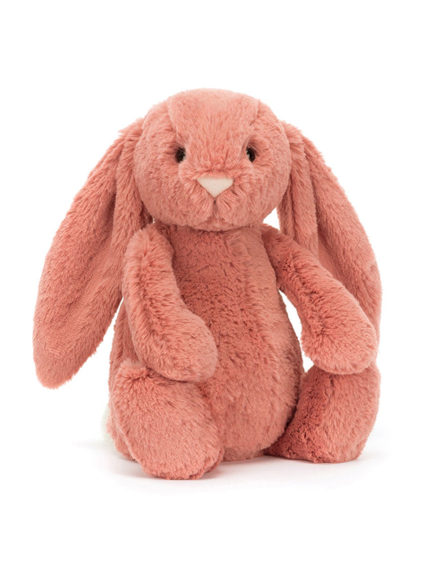 bashful sorrel bunny original