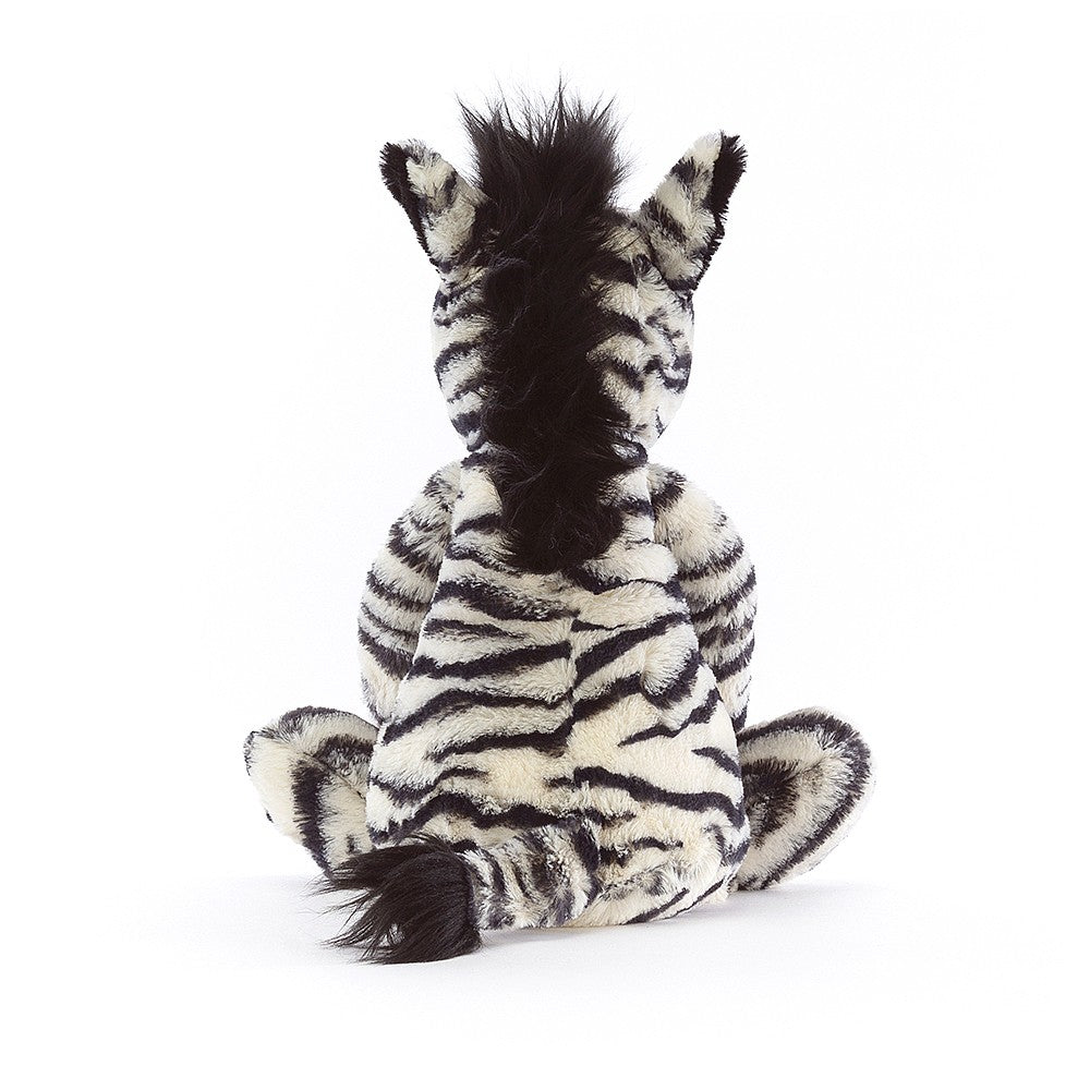 bashful zebra