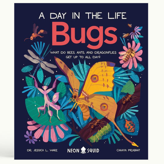 bugs: a day in the life