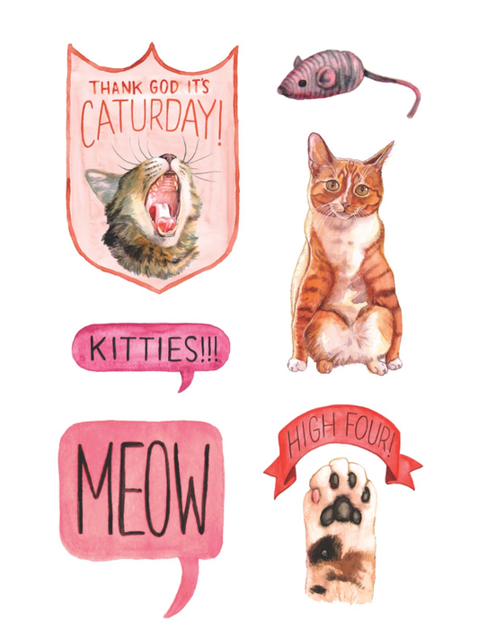 cat's meow sticker book
