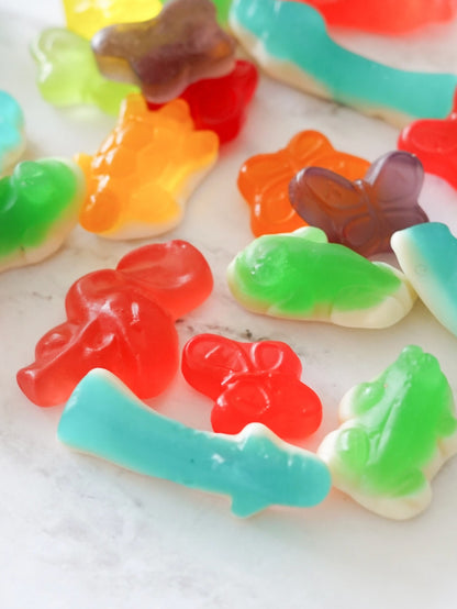 colorful animals gummy candies