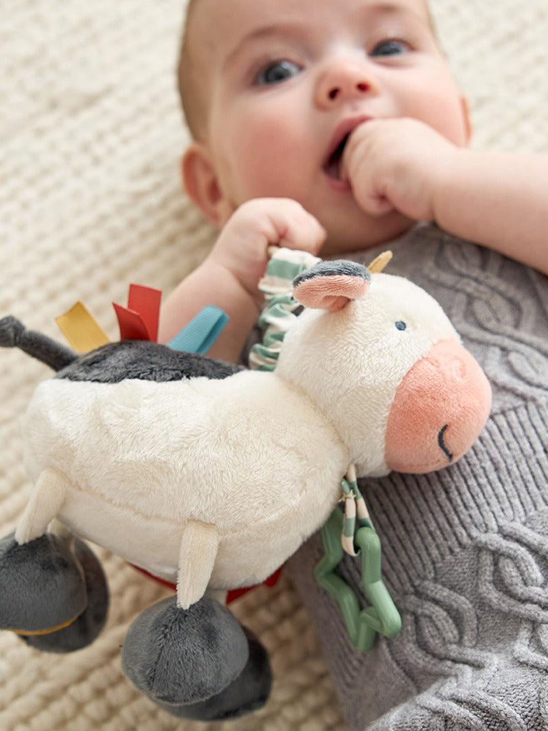 Cow Activity Plush Toy