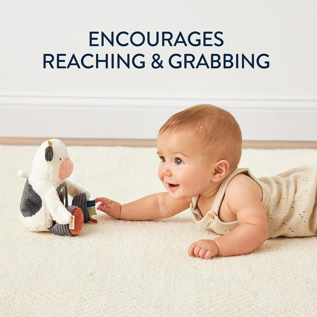 Cow Sensory Tummy Time Mirror