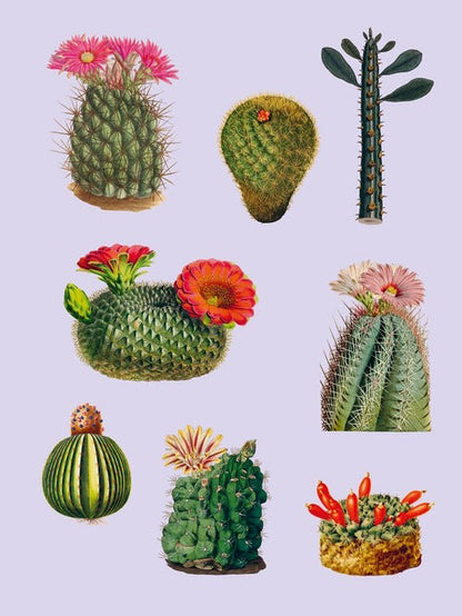 Extraordinary Things Sticker Book