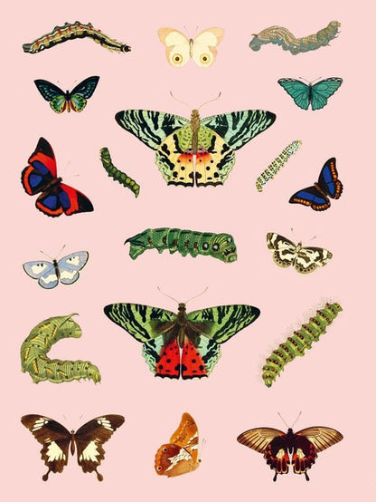 Extraordinary Things Sticker Book