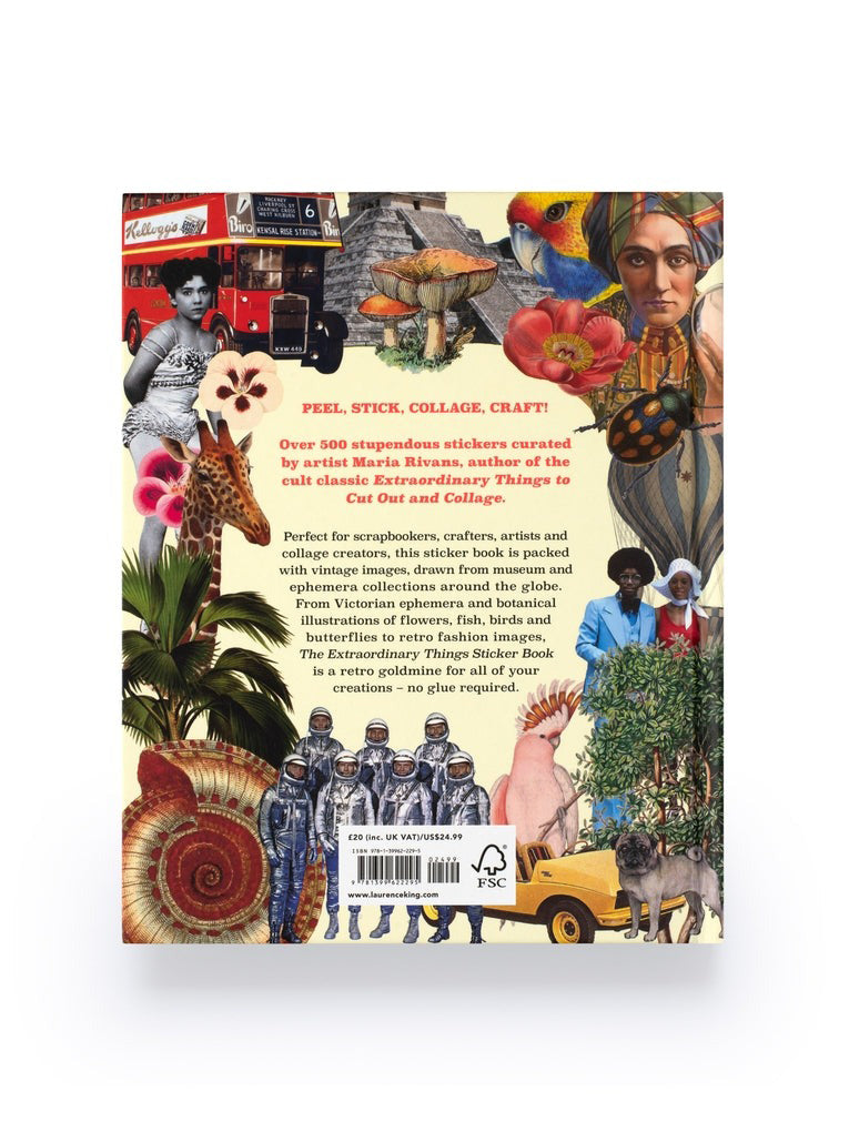 Extraordinary Things Sticker Book