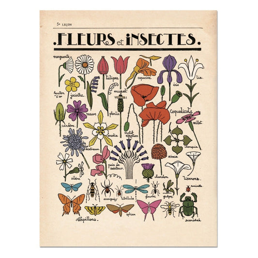 fleurs et insectes print