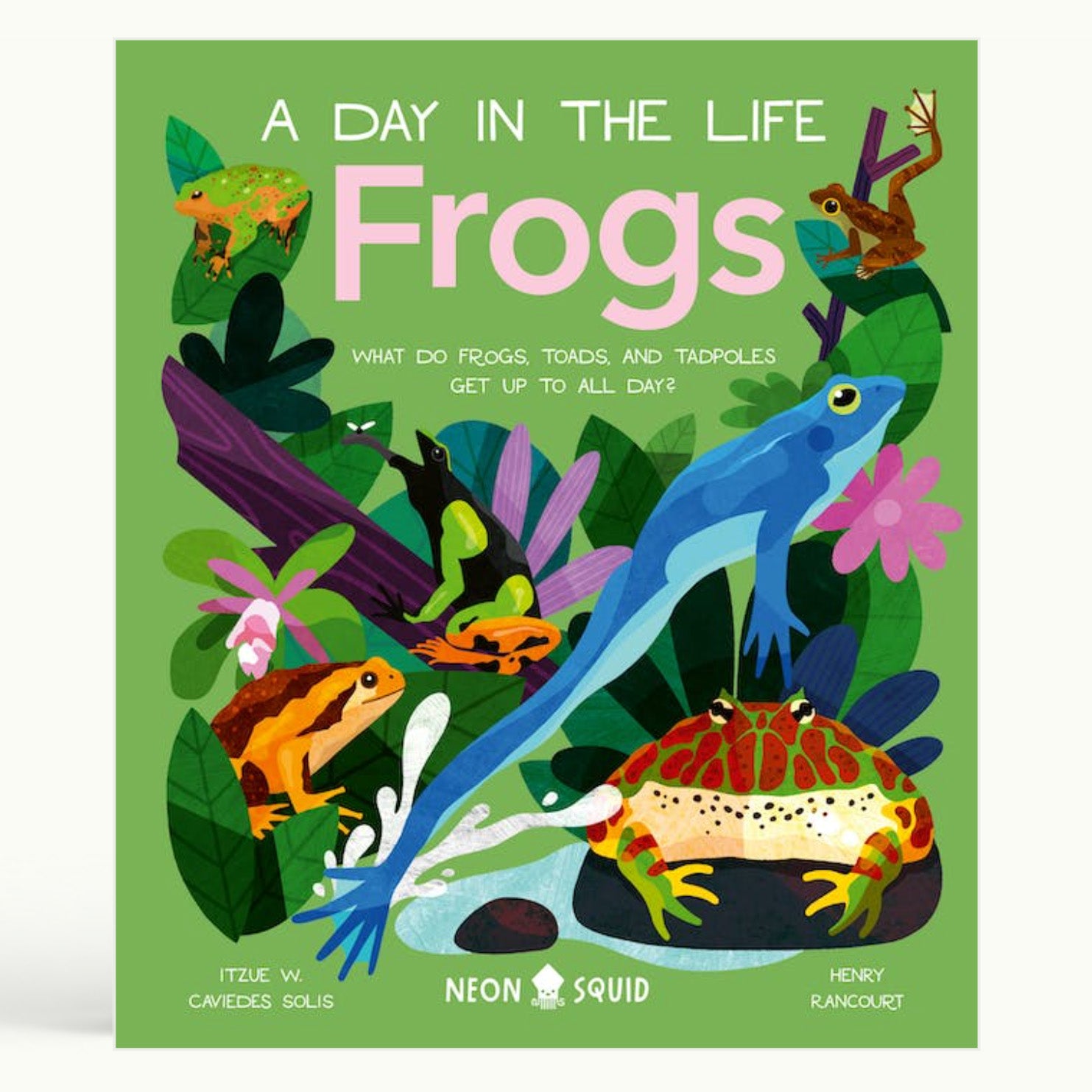 frogs: a day in the life