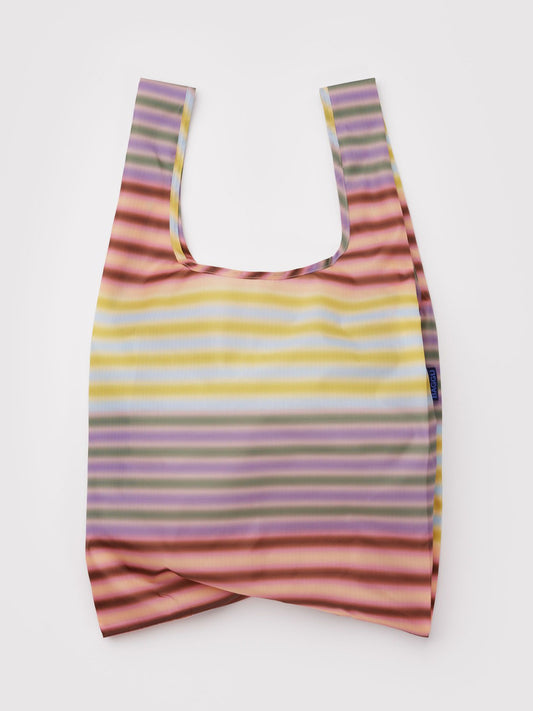 Multi Gradient Stripe Standard Baggu
