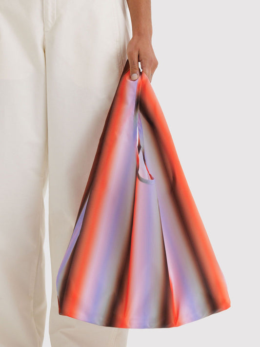 Poppy & Lilac Gradient Stripe Standard Baggu