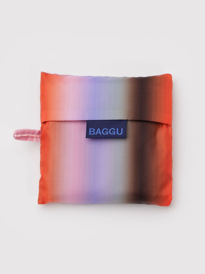 Poppy & Lilac Gradient Stripe Standard Baggu