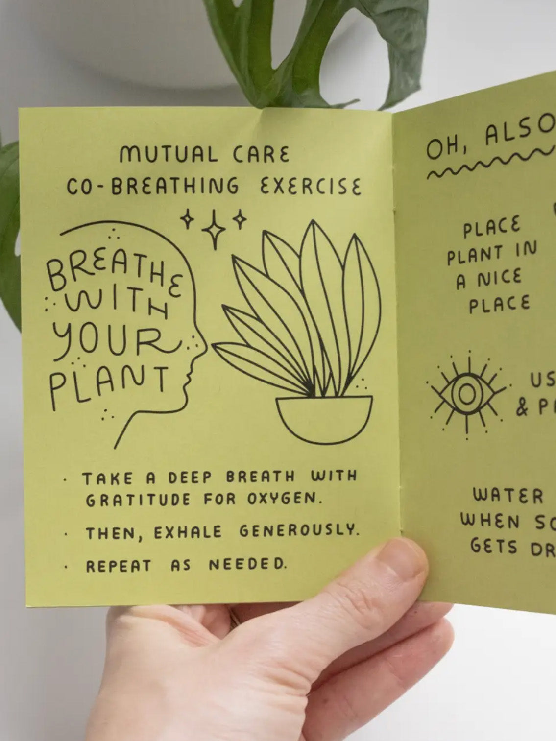 how to keep a plant alive zine
