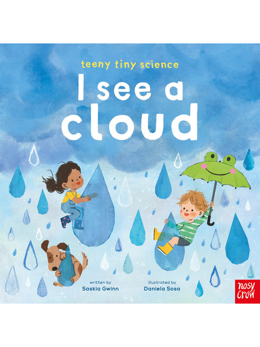 Teeny Tiny Science: I See A Cloud
